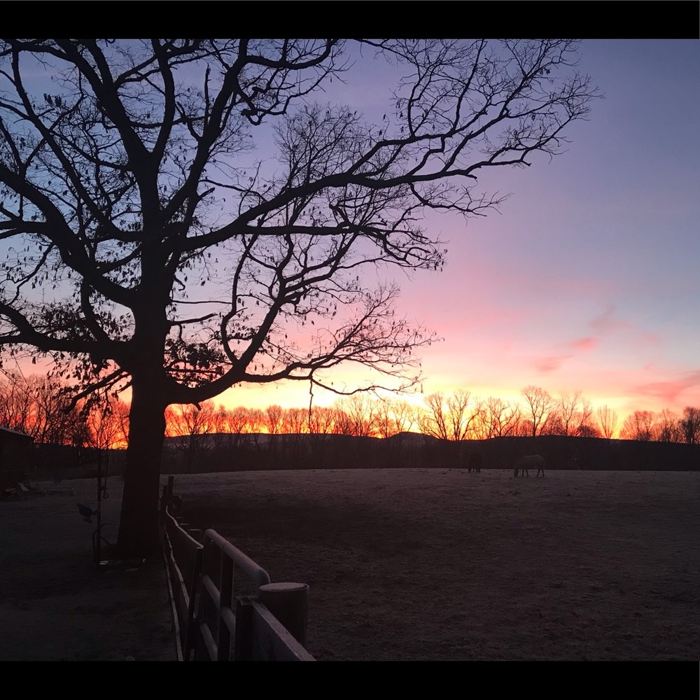 Meet your Posher, Payton